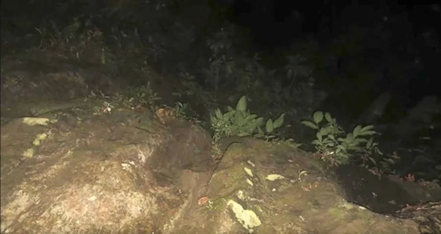 Night photo from the camera