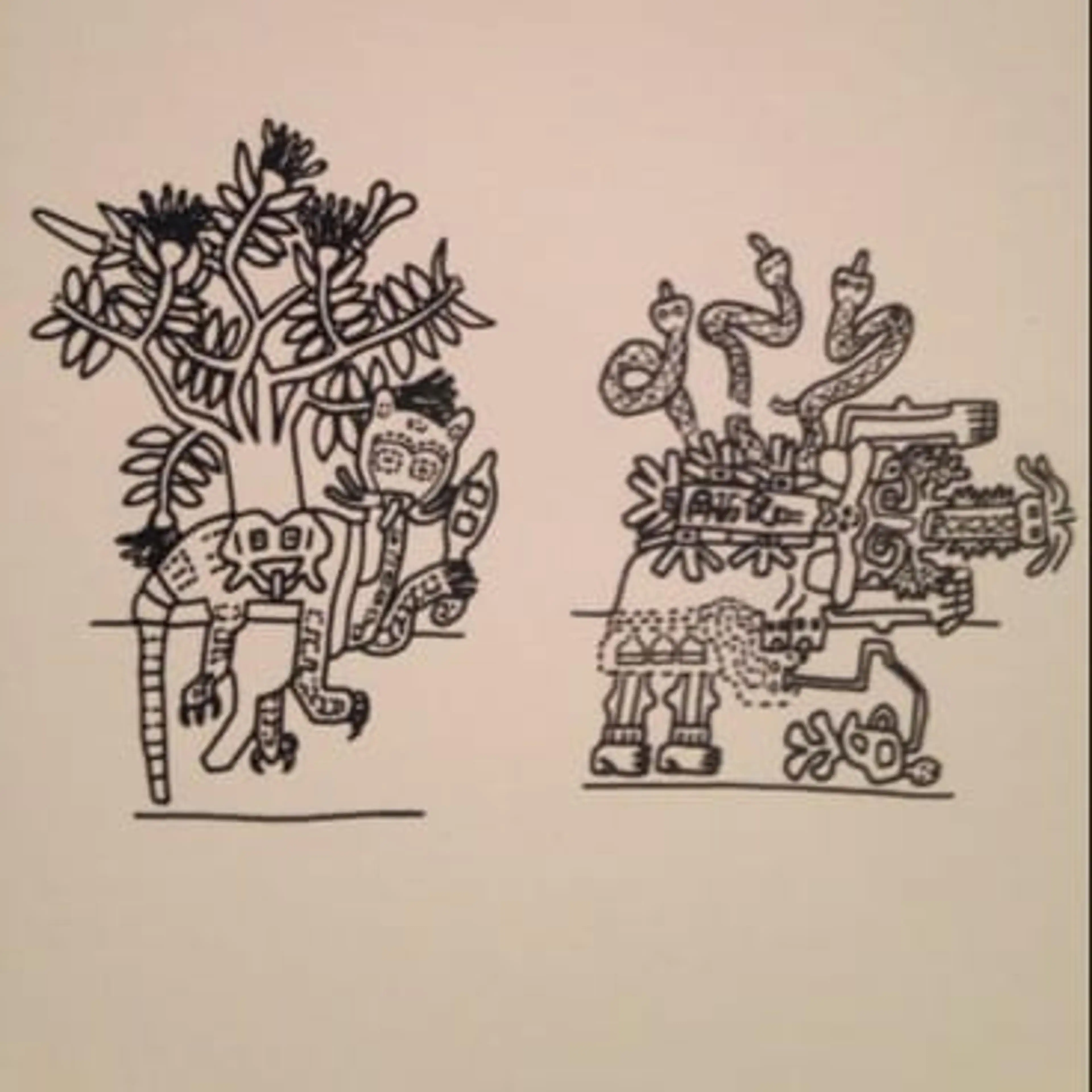 帕拉卡斯织物细节