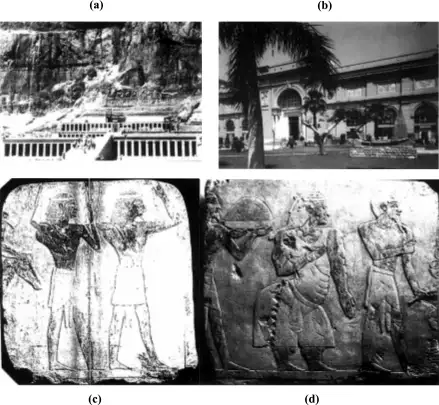 埃及哈特谢普苏特神庙中描绘蓬特国女王患有象皮病的浮雕，距今约3500年