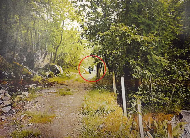 警方根据瑞典证人的描述重建的现场