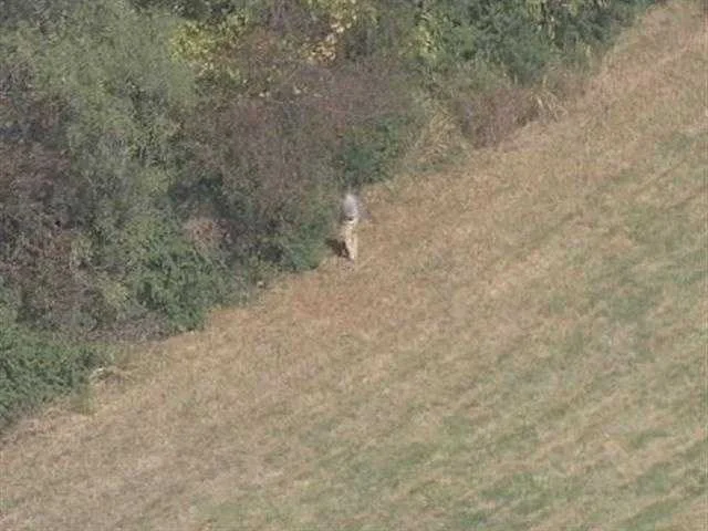 大规模搜救行动