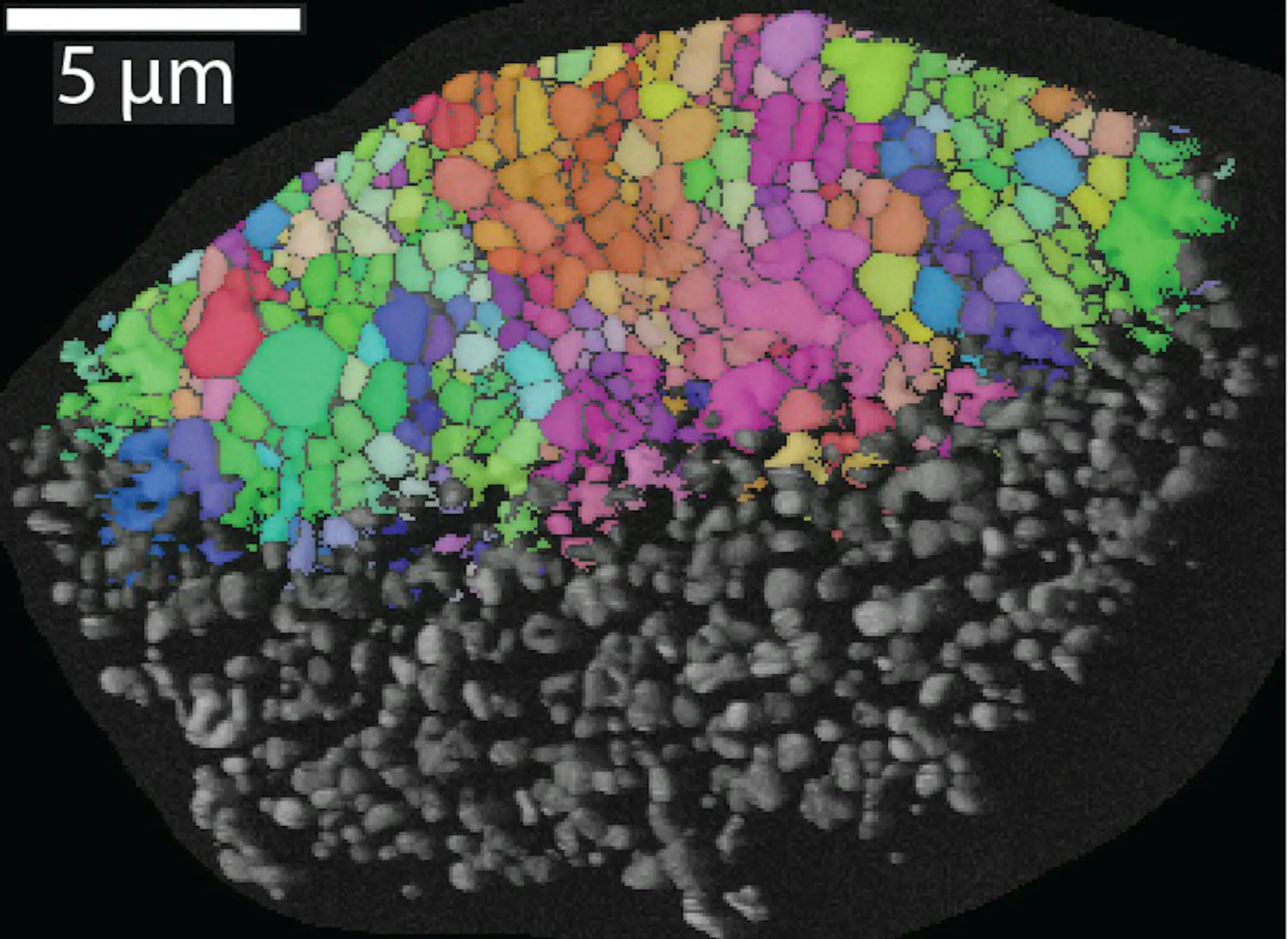 锆石中的雷迪石证据