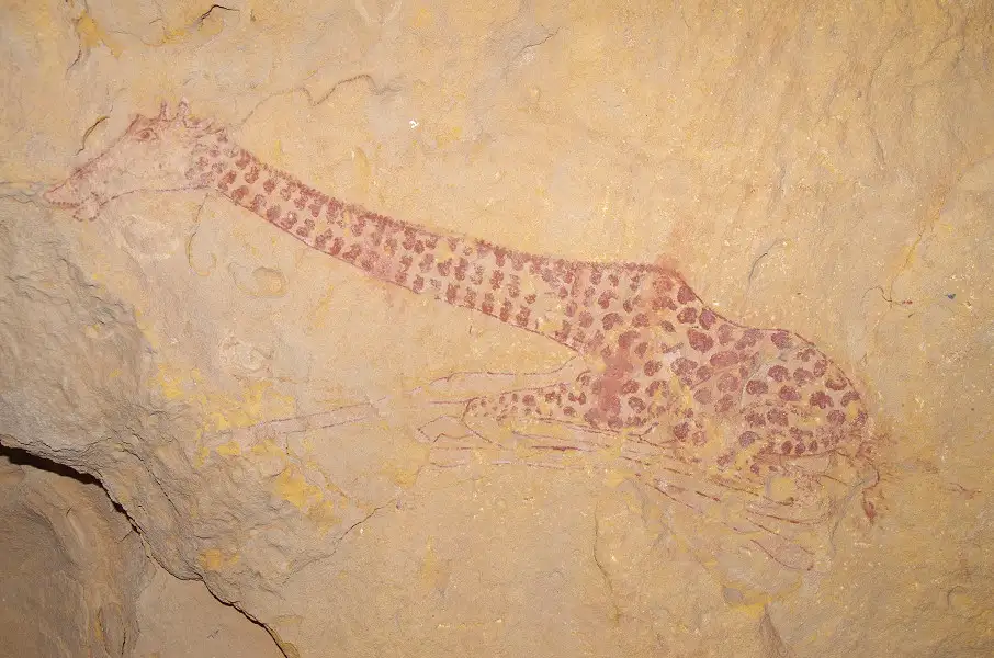 塔西利岩画中的长颈鹿分娩场景