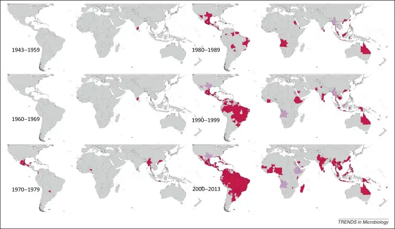 登革热全球传播历史地图，显示疾病从东南亚向全球蔓延的过程