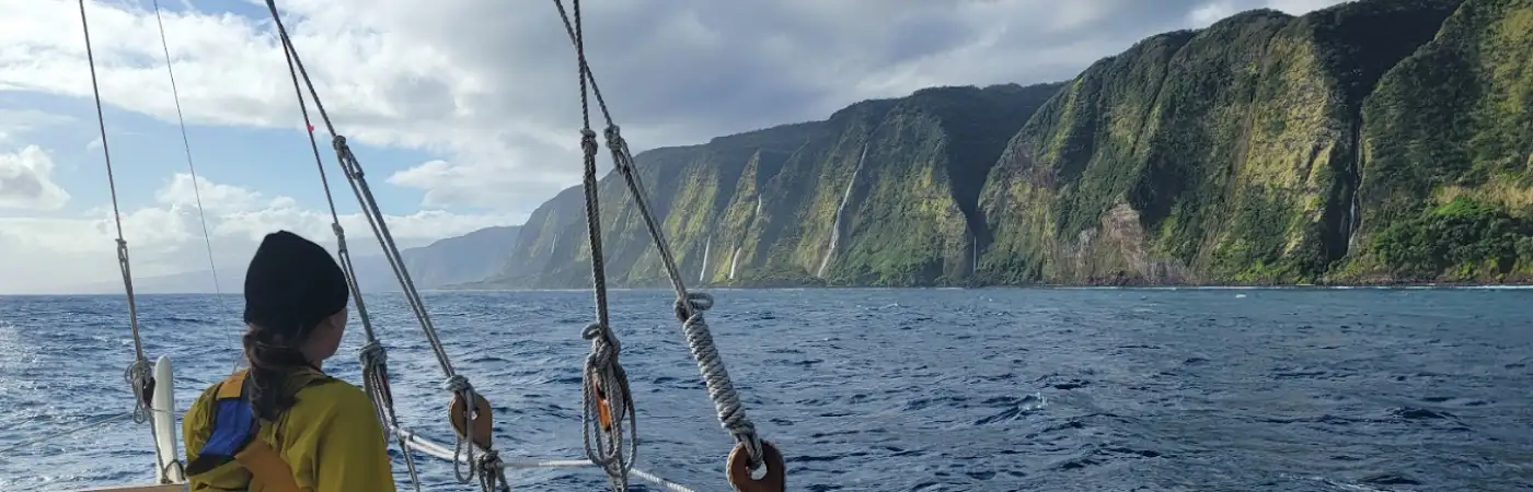 波利尼西亚星辰罗盘示意图