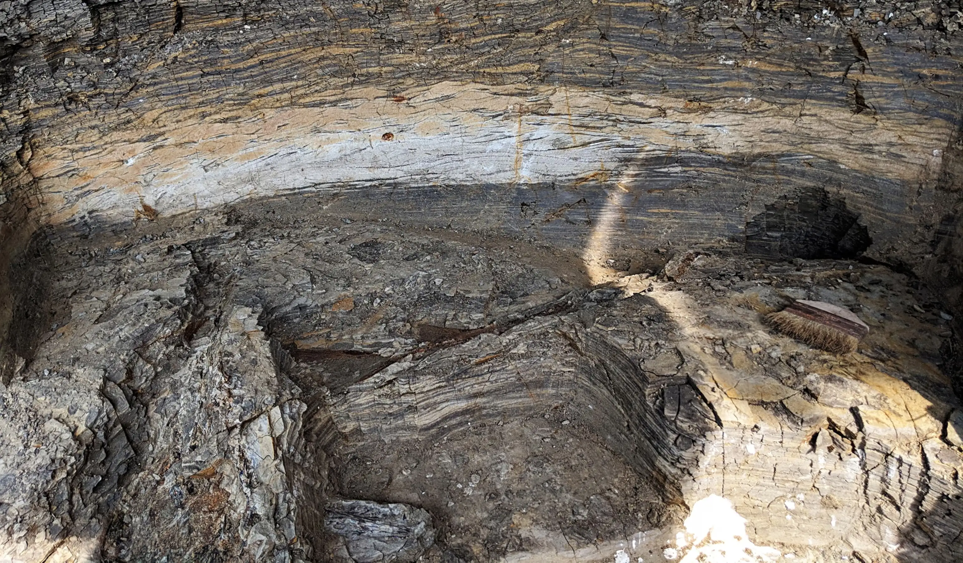 K-Pg边界化石遗址