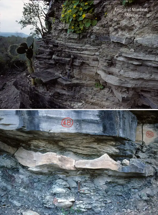 冲击石英显微图像