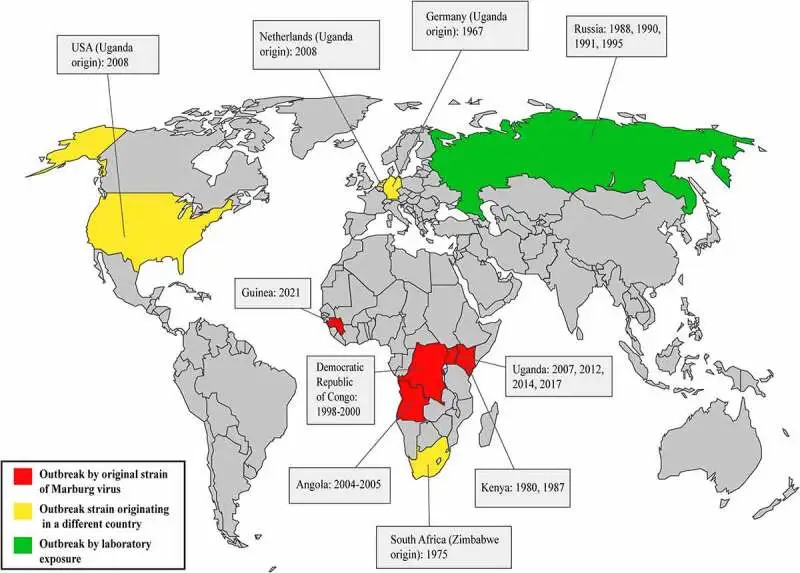马尔堡病毒爆发历史