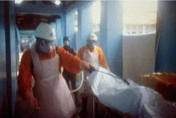 1995年刚果埃博拉爆发期间的尸体消毒