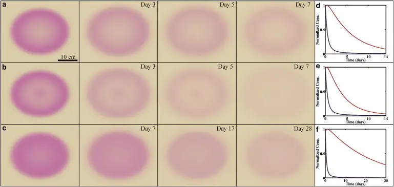 抗生素治疗对不同类型游走性红斑的影响