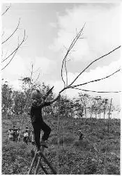 越南橙剂受害者在国际法庭上作证