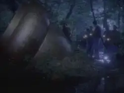 《未解之谜》节目中展示的橡果形物体示意图