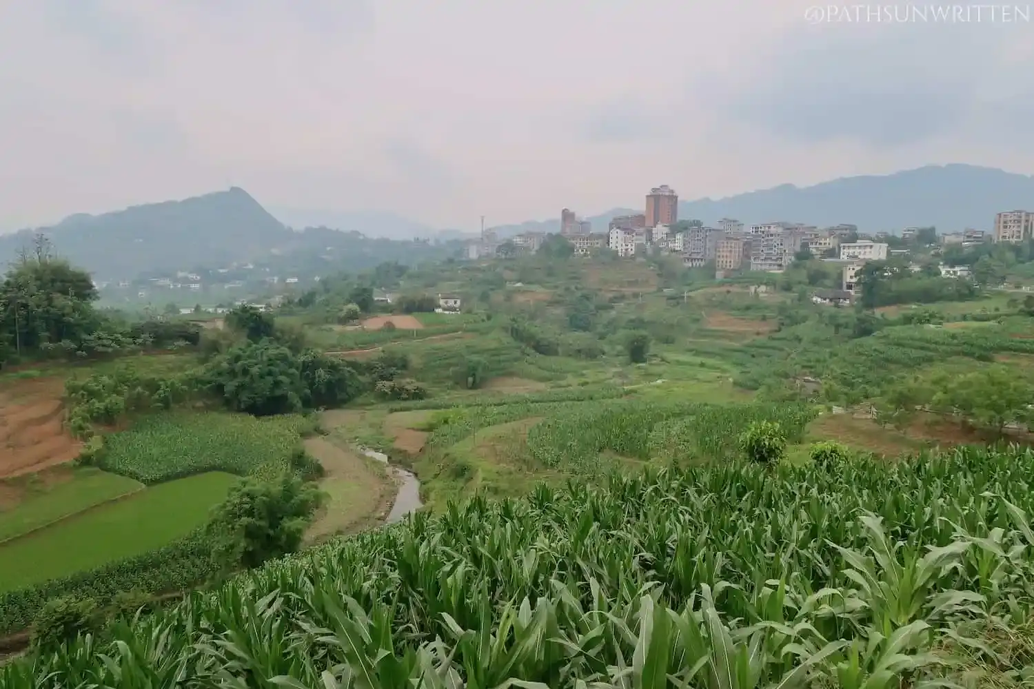 悬棺所在的陡峭山谷