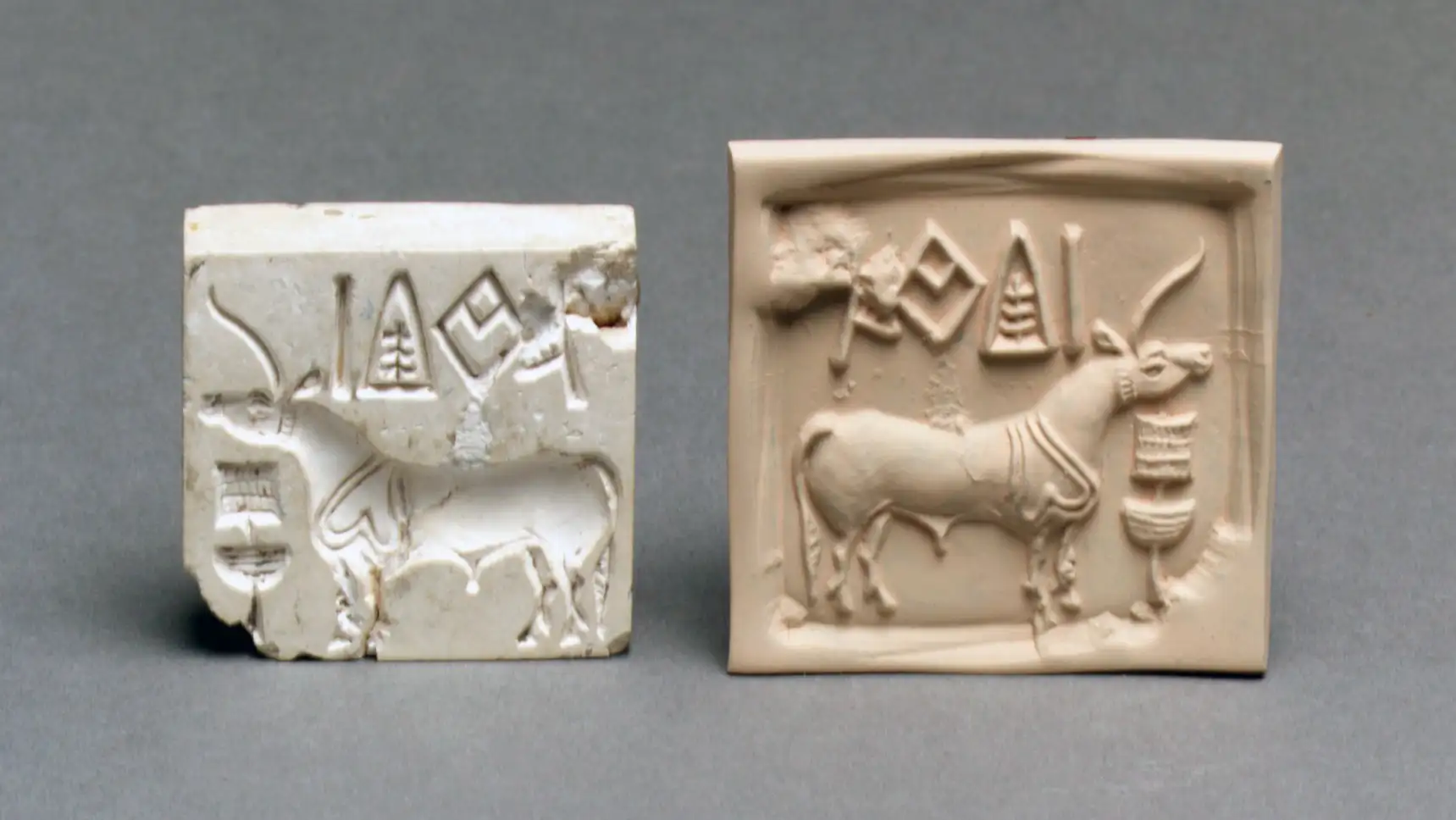 印度河文明独角兽印章