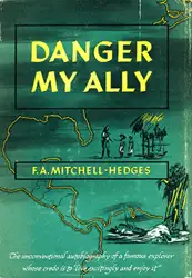 《危险是我的盟友》封面