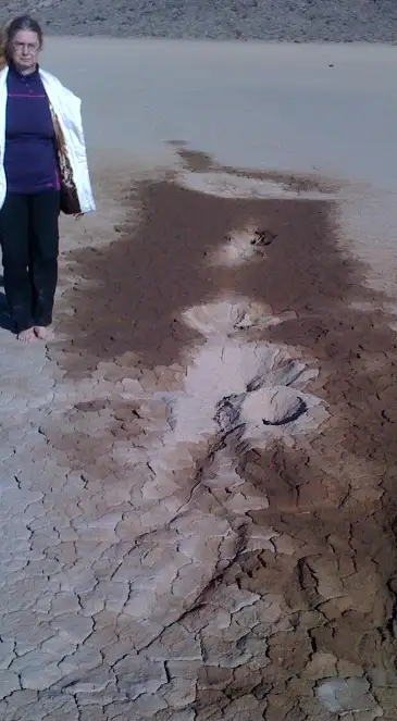 赛马场盐湖上的岩石岛，这座22米高的深色岩石从平坦的湖床中突兀地耸立