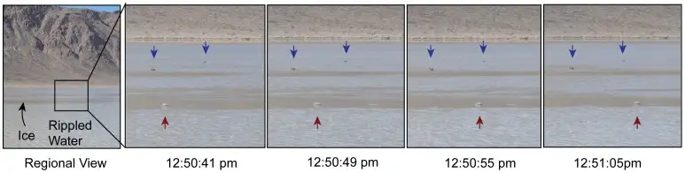 延时摄影捕捉到的航行石移动瞬间，冰层推动岩石在浅水中滑行留下轨迹