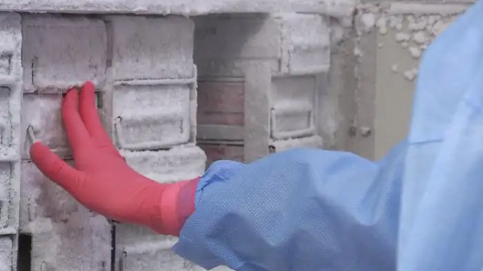 CDC科学家处理流感样本