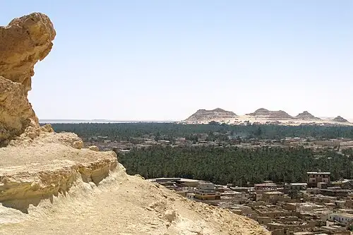 锡瓦绿洲全景，埃及西部沙漠中最偏远的绿洲之一