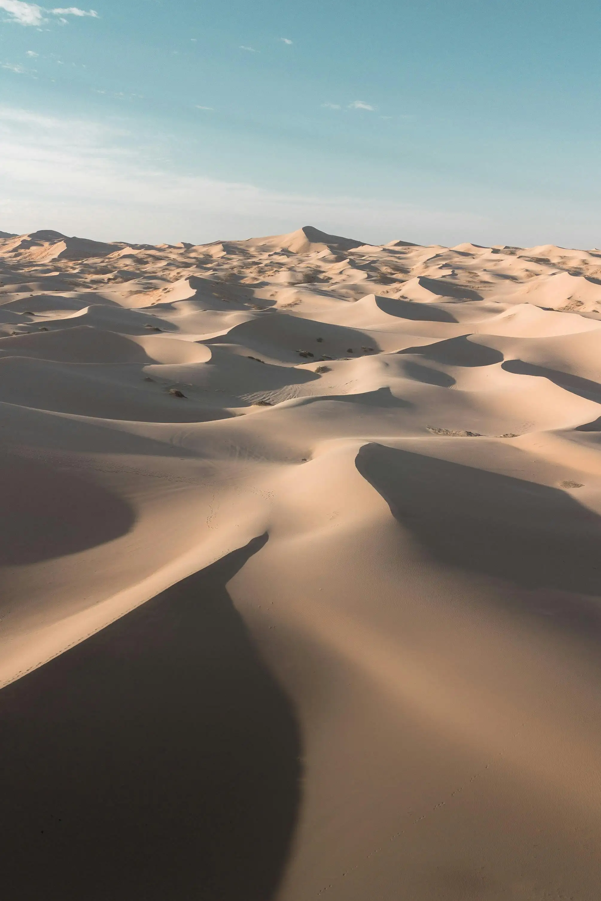 墨西哥奇瓦瓦沙漠的广袤沙丘，寂静之区所在地的地貌