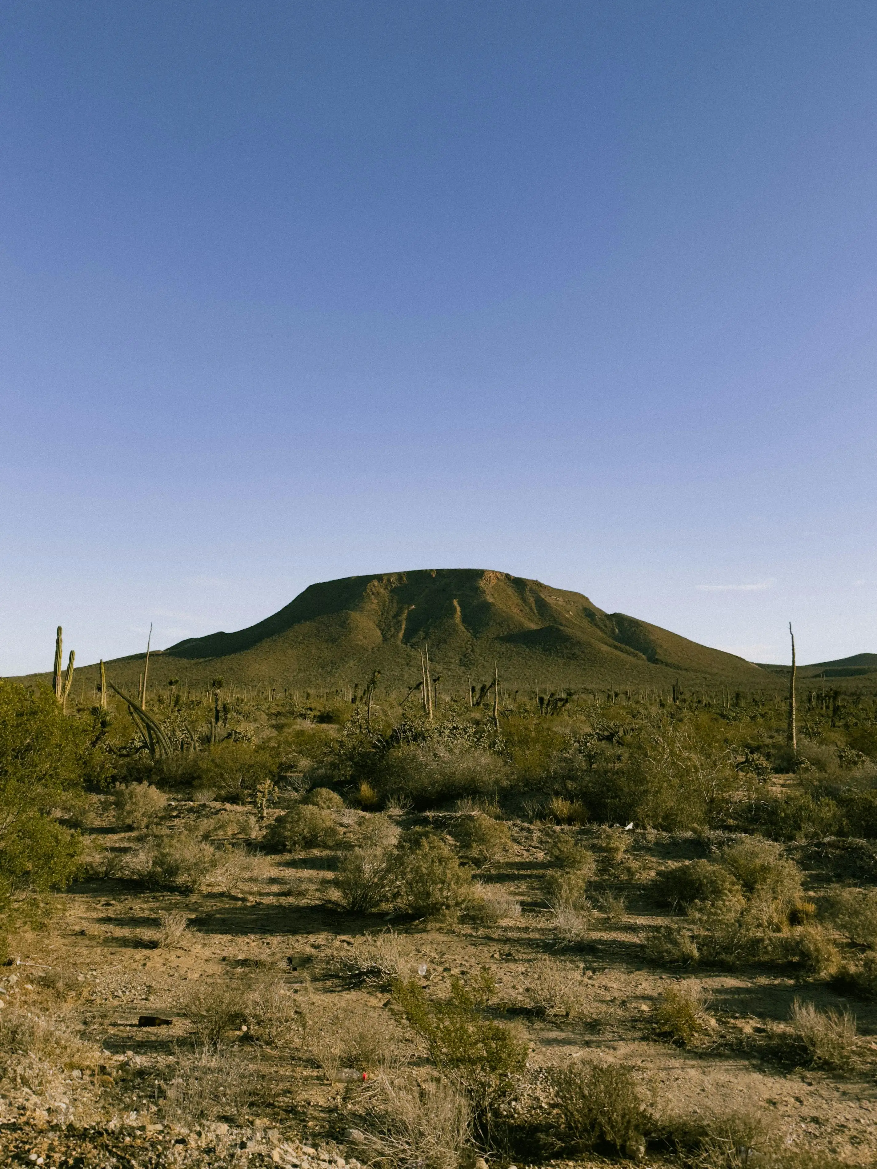 墨西哥Loreto的沙漠景观