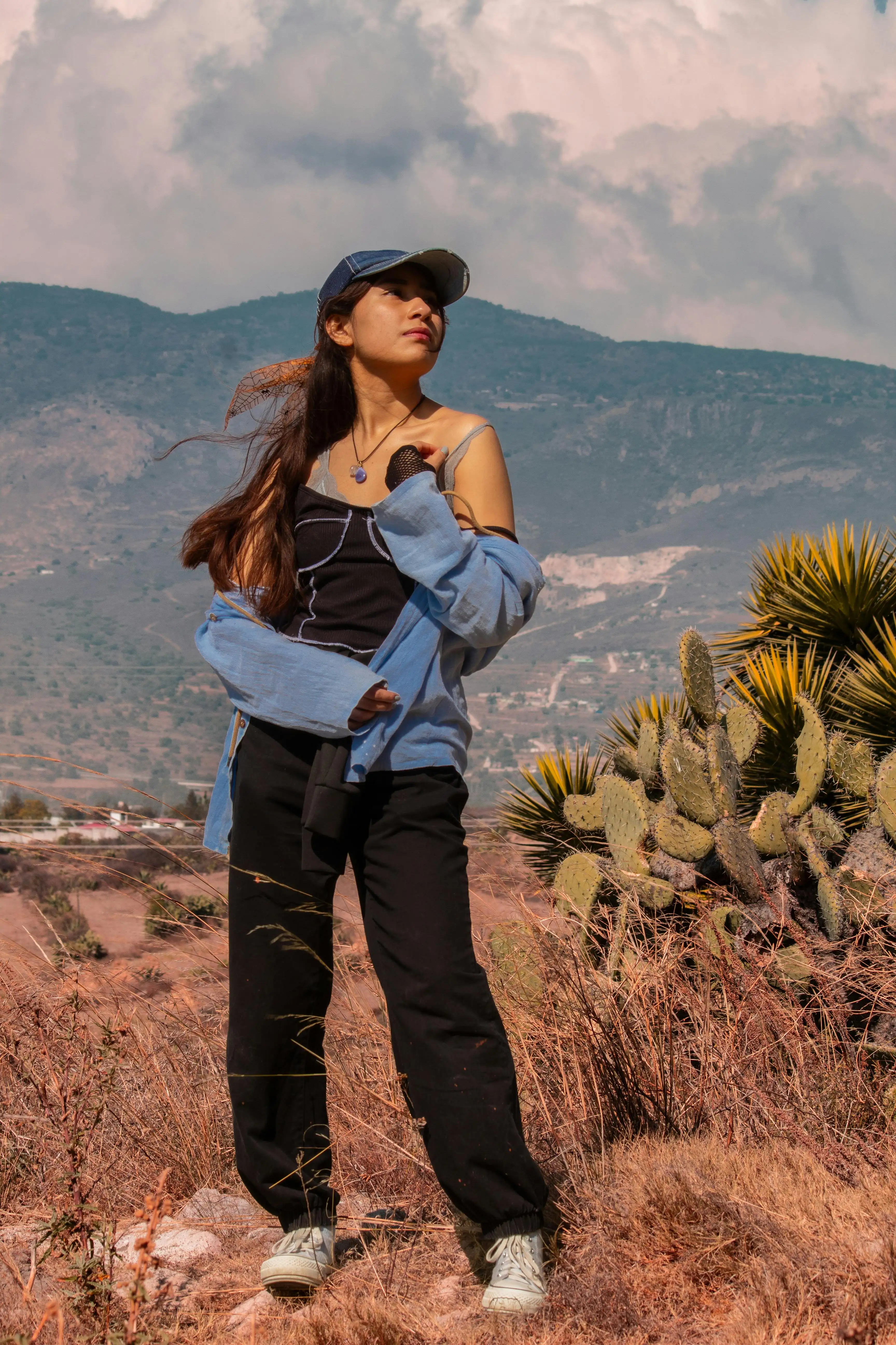 墨西哥沙漠探索