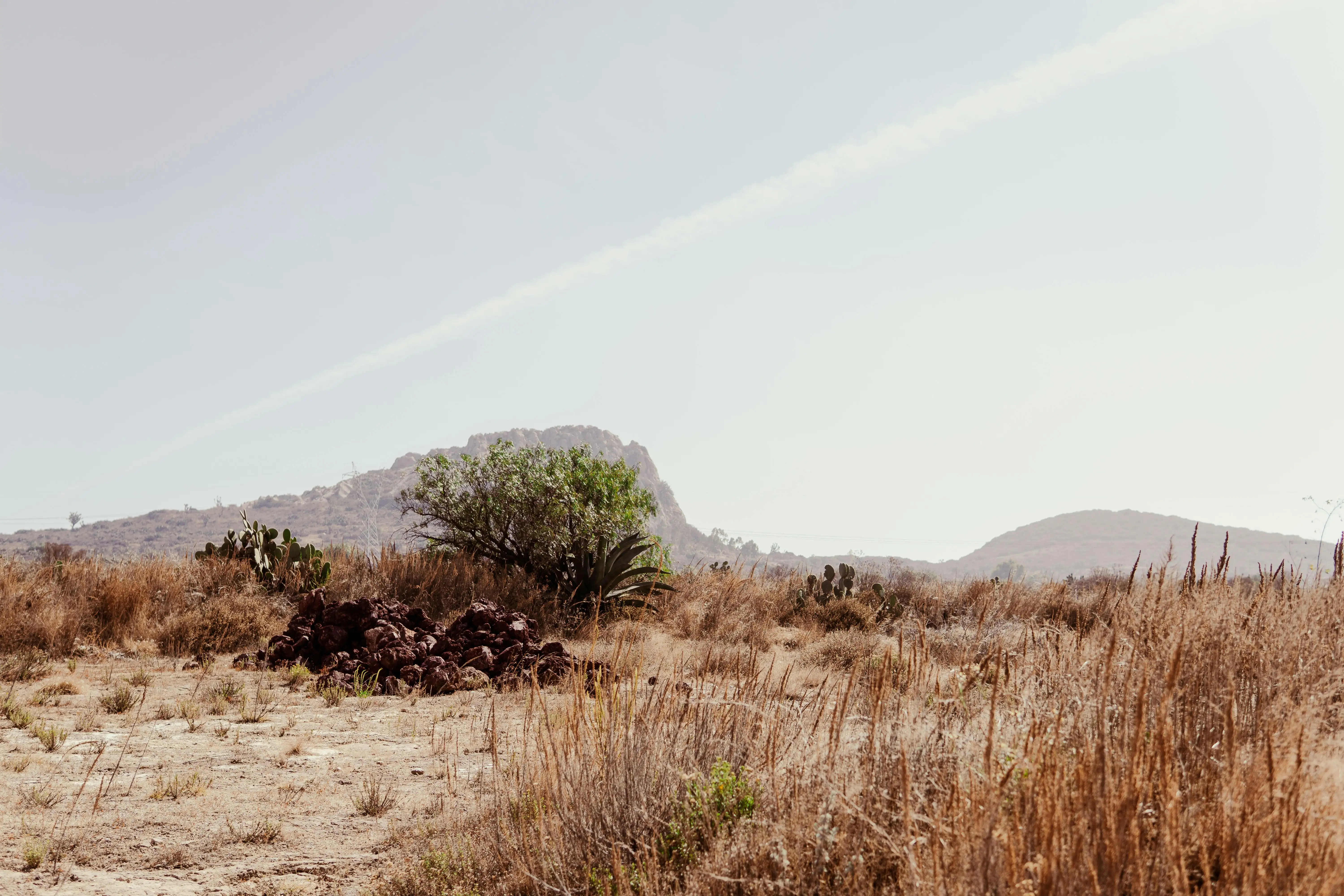 Hidalgo墨西哥沙漠