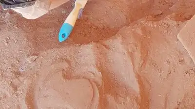 考古学家梅丽莎·肯尼迪在挖掘现场发现第一只牛角