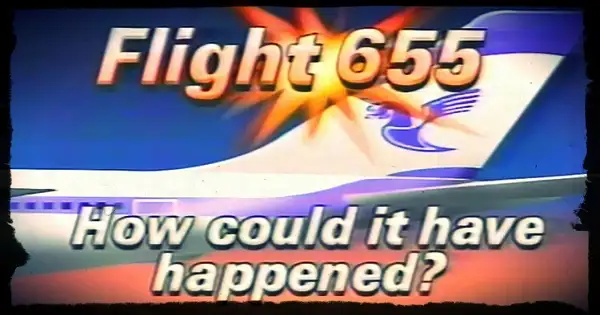 伊朗航空655号班机残骸被冲上岸