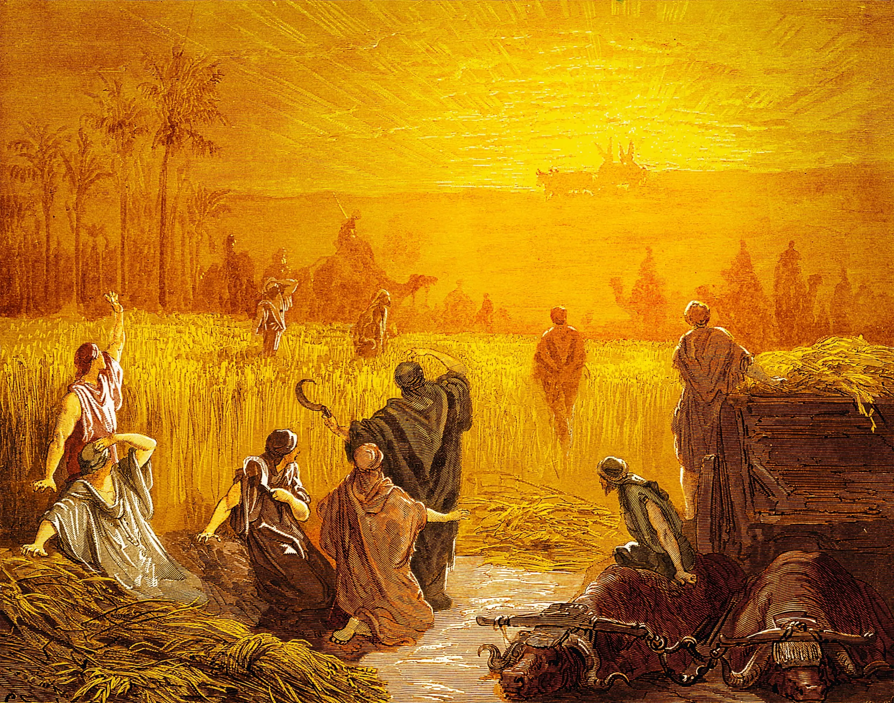 非利士人归还约柜