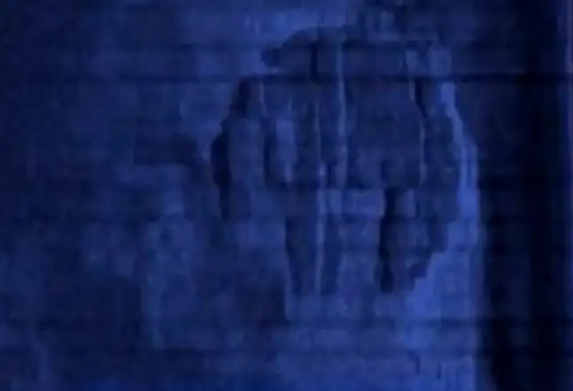 声纳图像近距离特写