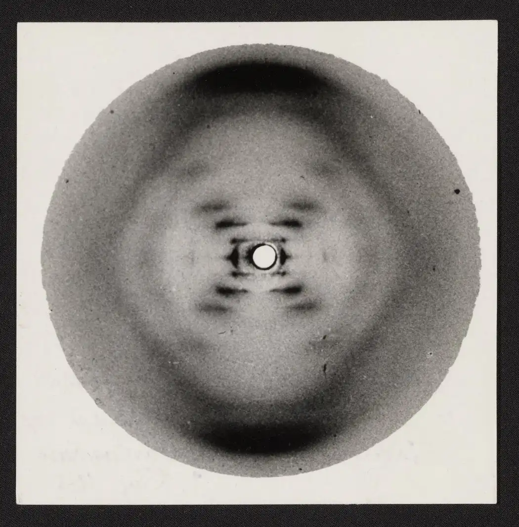 照片51号的注释版