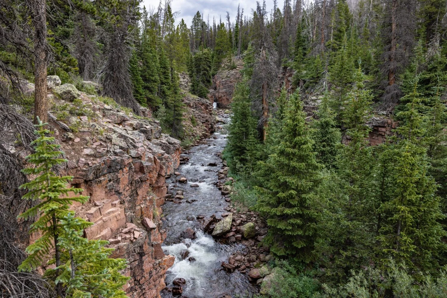 Yellowstone Creek峡谷，埃里克最后被目击的地点