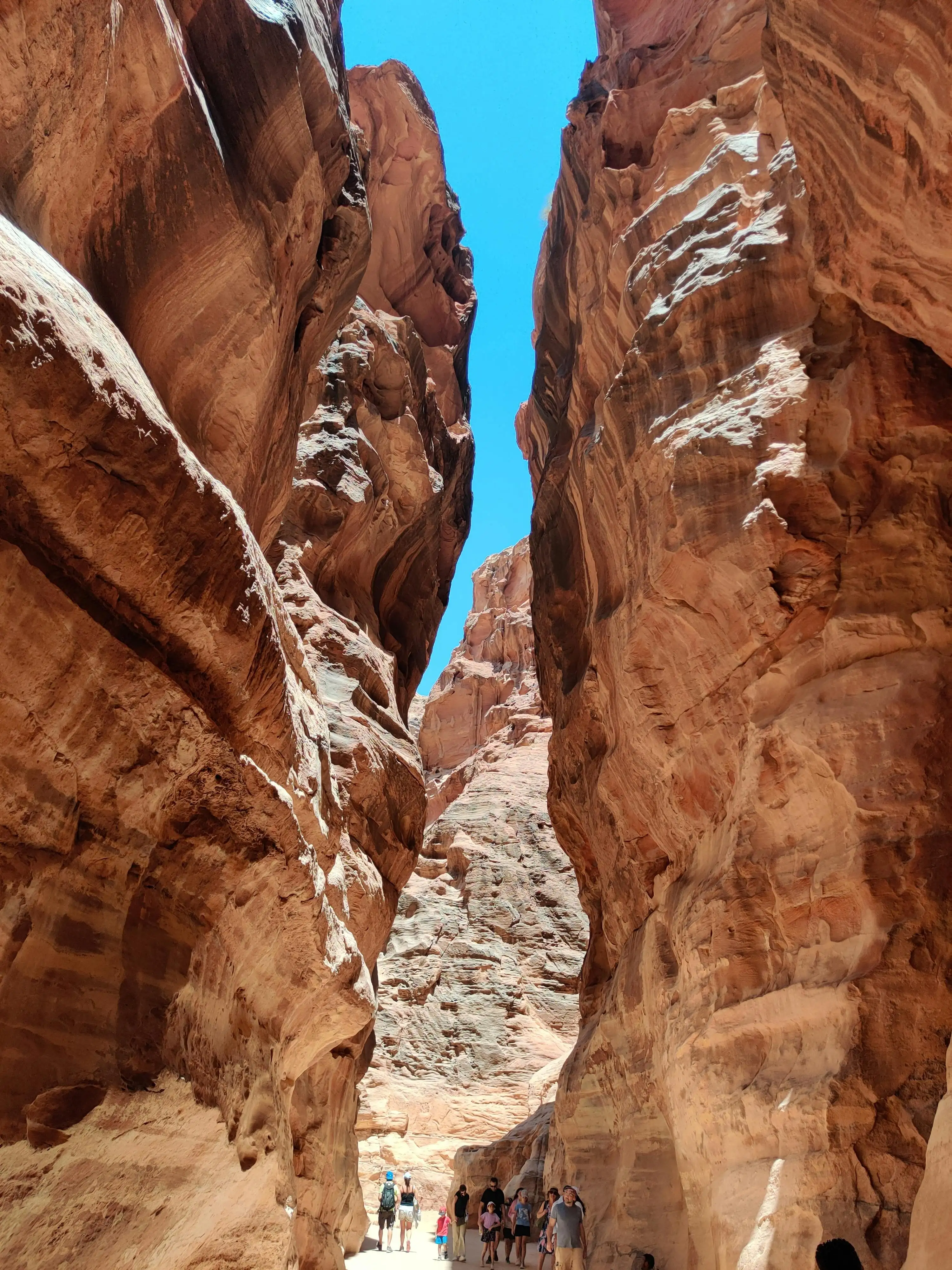 蛇道中仰望天空