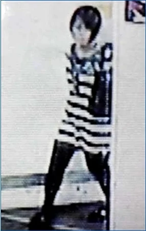 监控摄像头拍到的平冈都