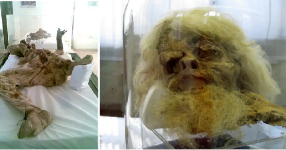 盐人1号与盐人4号对比图