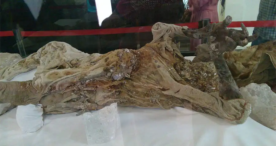 盐人3号的遗体,赞詹考古博物馆藏