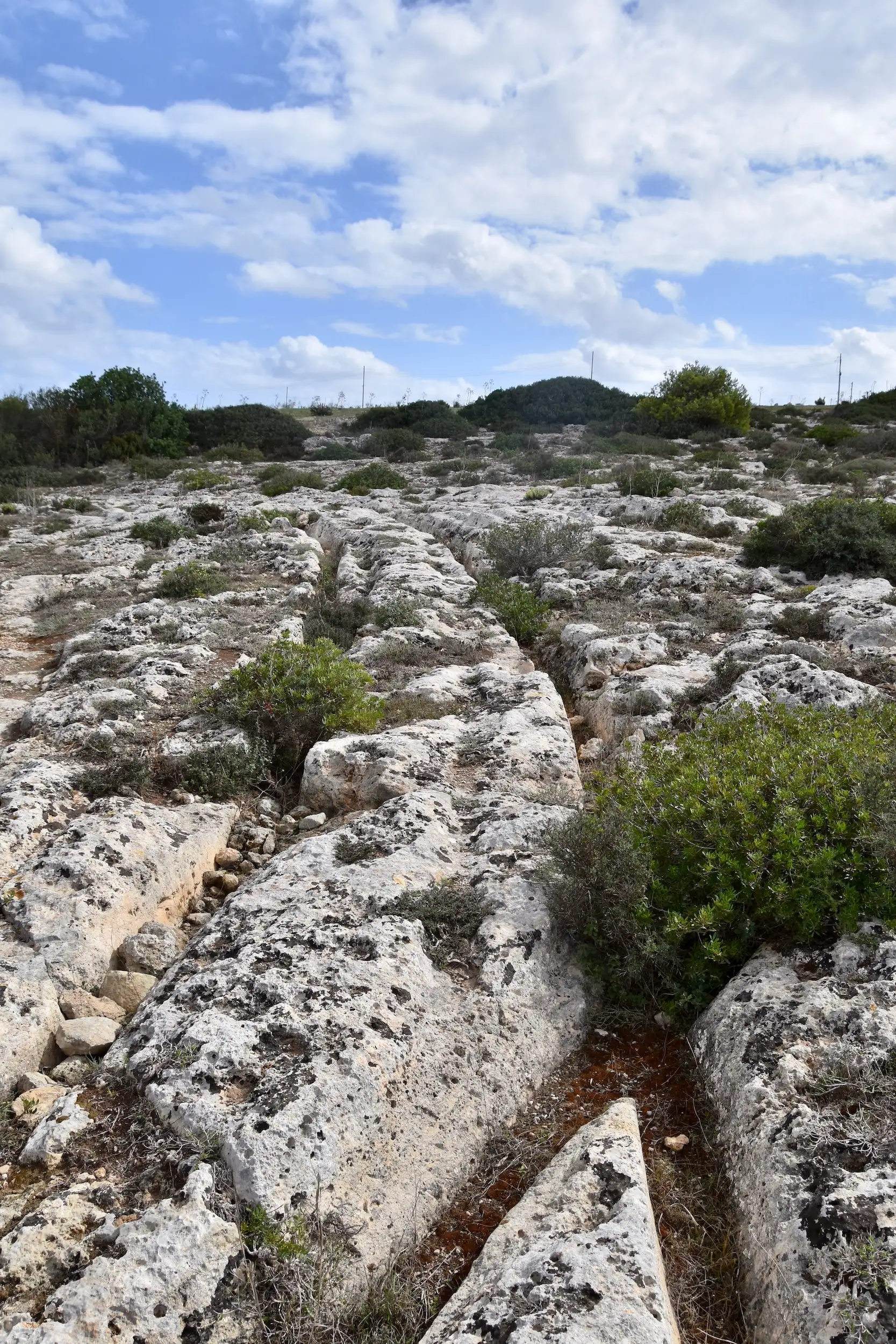 交错的车辙网络