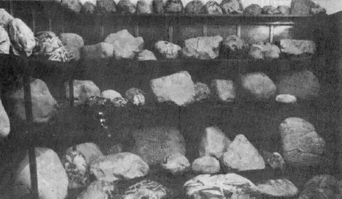 伊卡石博物馆展示