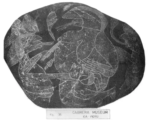 伊卡石上的手术场景