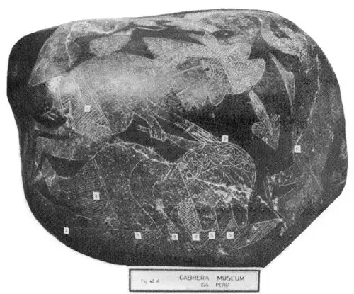 伊卡石上的医疗场景