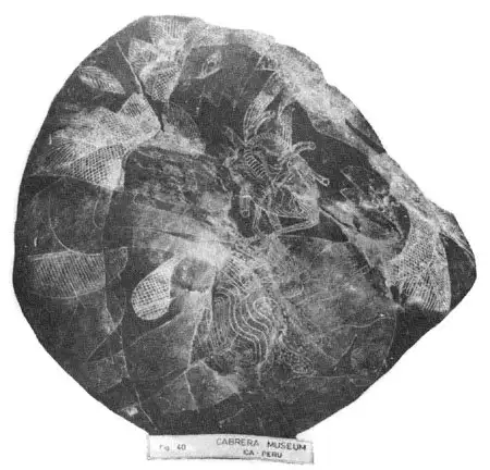 伊卡石上的心脏移植场景