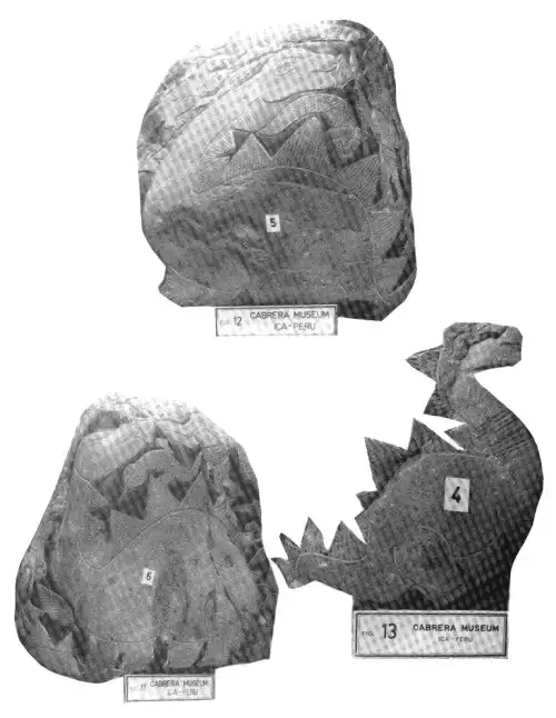 伊卡石上的恐龙刻画
