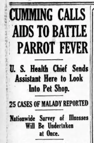 鹦鹉热报纸标题