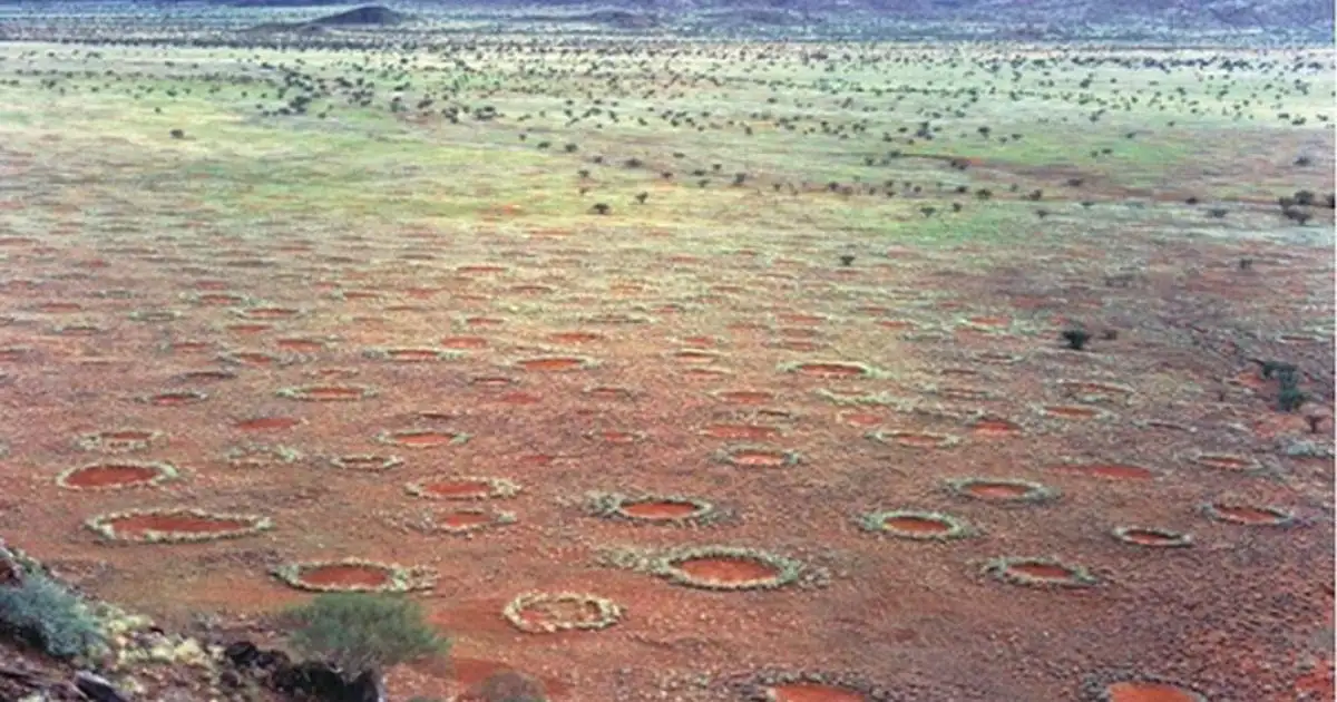 纳米比亚仙女圈航拍全景