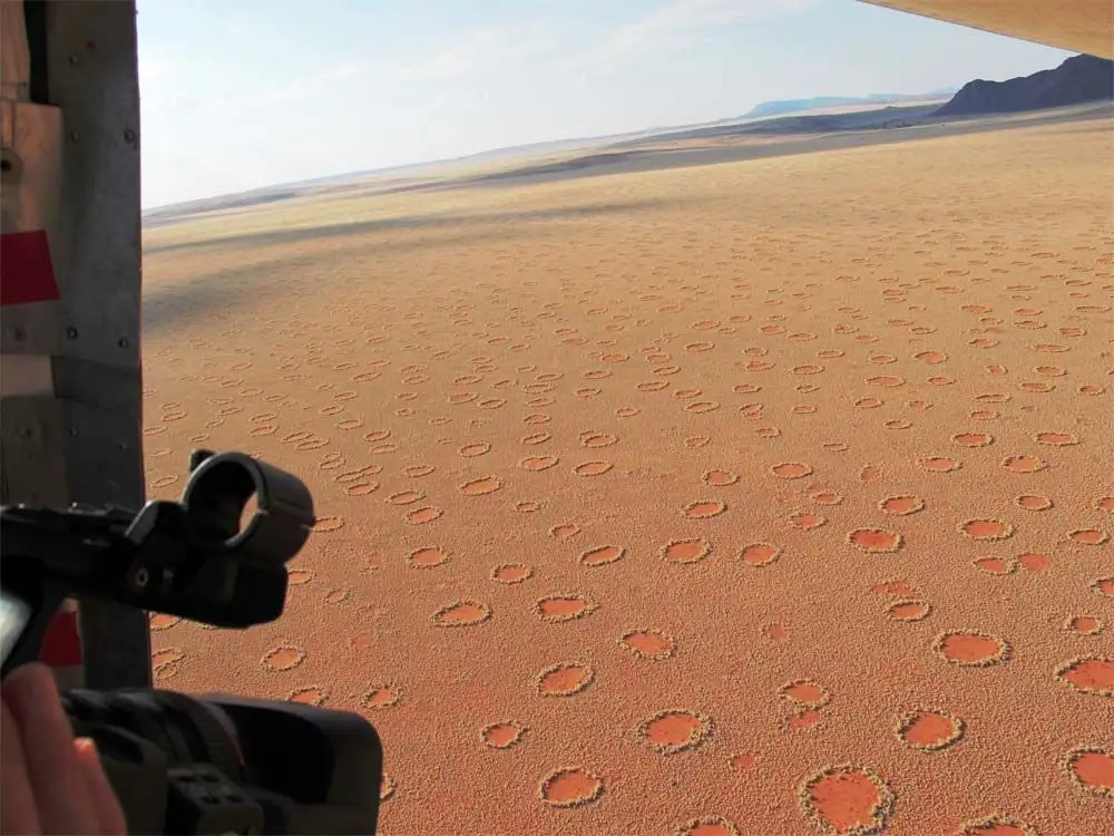 仙女圈与羚羊足迹