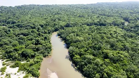 Amazonian dark earth landscape