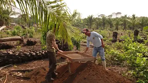 Versalles village using dark earth