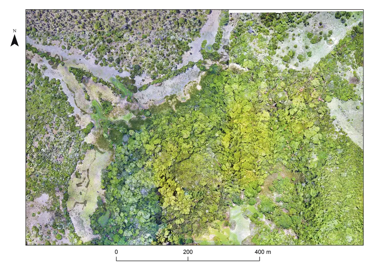 LiDAR comparison of Landívar site