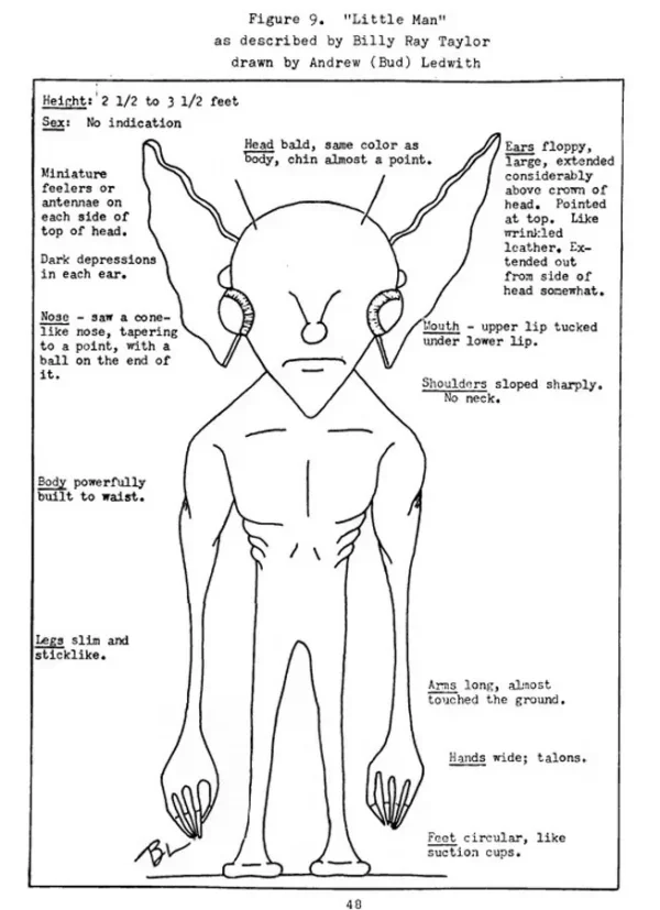 根据目击者描述绘制的霍普金斯维尔小妖精图像